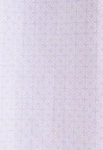 Regular Chemise d'affaires Imprimé in Bleu Clair |  Seidensticker Onlineshop