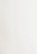 Regular Business Hemd Uni in Ecru |  Seidensticker Onlineshop