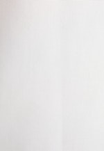 Regular Business Hemd Uni in Weiß |  Seidensticker Onlineshop