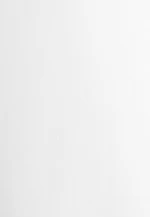 Regular Business Hemd Uni in Weiß |  Seidensticker Onlineshop